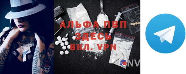 стафф Алексин
