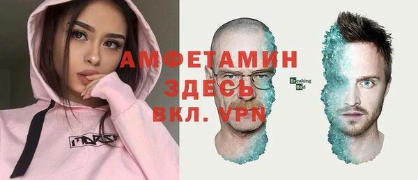 стафф Алексин