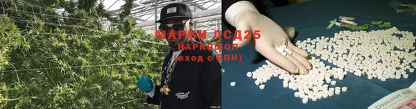 стафф Алексин