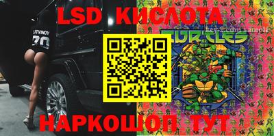 шишки Анжеро-Судженск