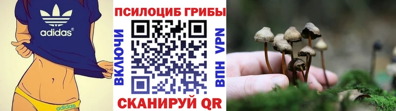Галлюциногенные грибы мицелий  Слободской 